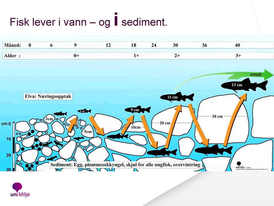 vann og i