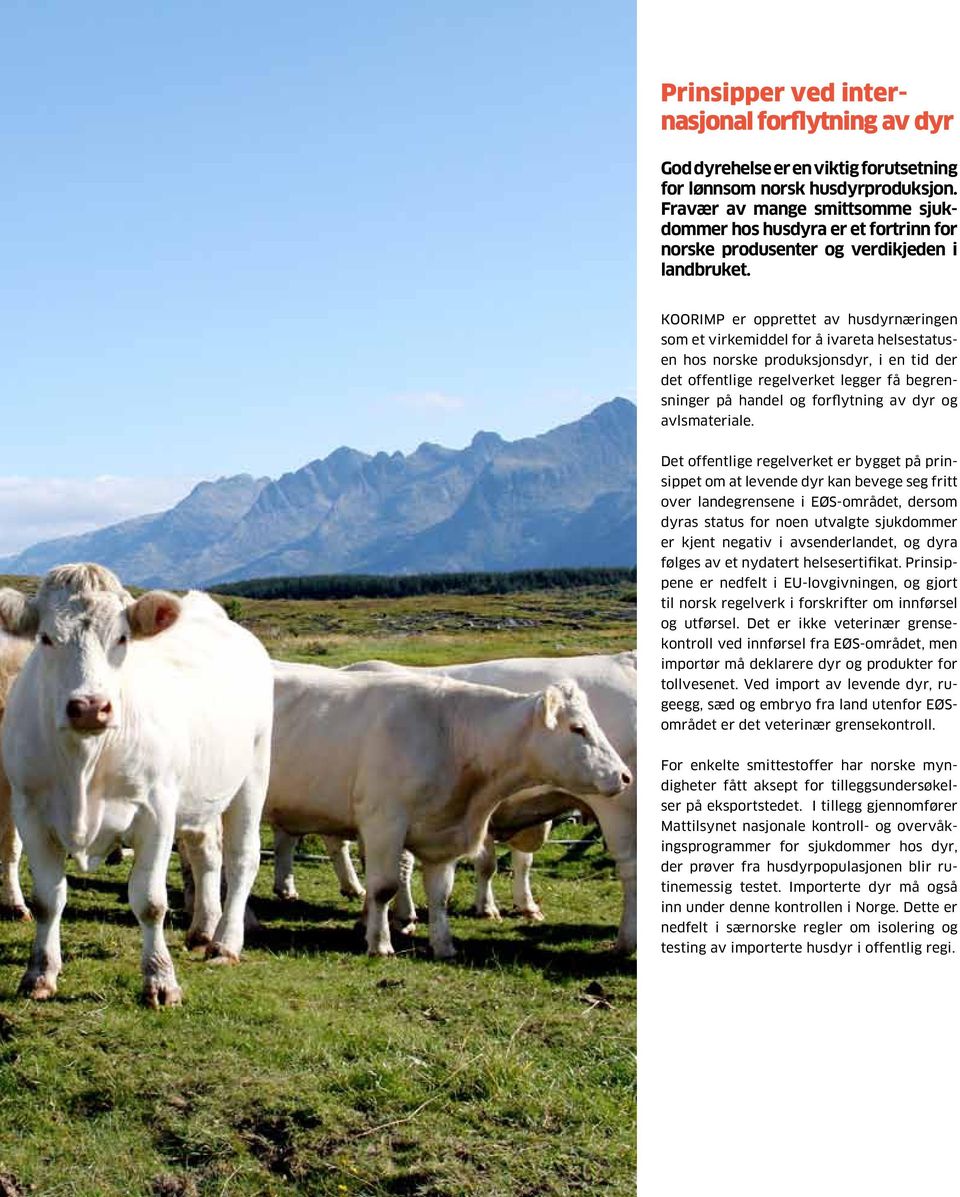 KOORIMP er opprettet av husdyrnæringen som et virkemiddel for å ivareta helsestatusen hos norske produksjonsdyr, i en tid der det offentlige regelverket legger få begrensninger på handel og