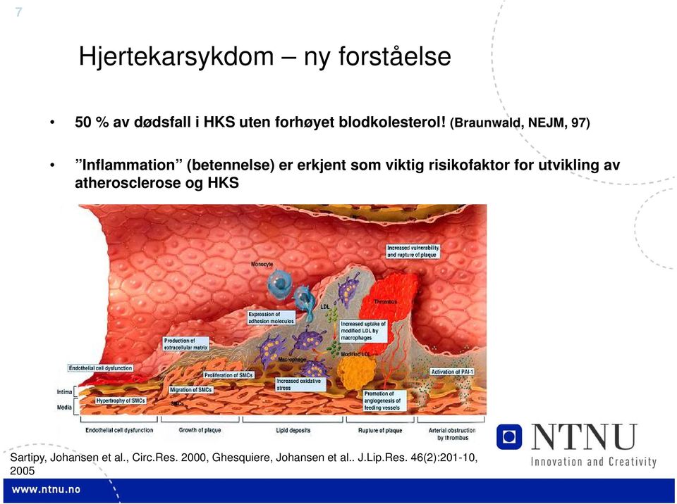 (Braunwald, NEJM, 97) Inflammation (betennelse) er erkjent som viktig