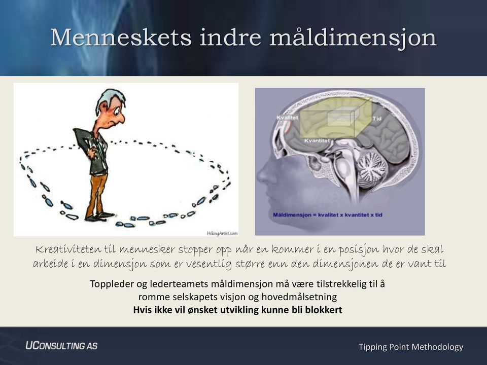 dimensjonen de er vant til Toppleder og lederteamets måldimensjon må være tilstrekkelig