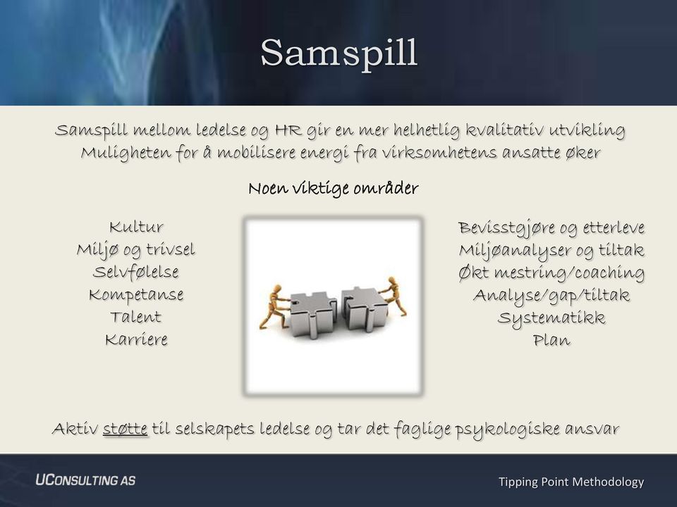 Selvfølelse Kompetanse Talent Karriere Bevisstgjøre og etterleve Miljøanalyser og tiltak Økt