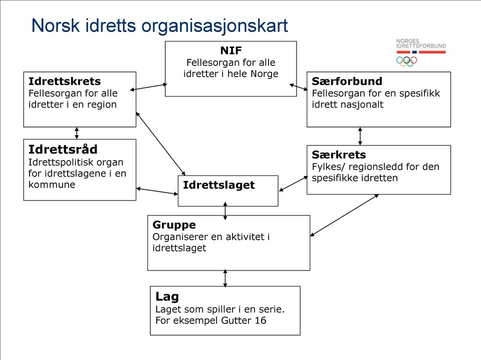 Idrettspolitisk organ for idrettslagene i en kommune Idrettslaget Særkrets Fylkes/ regionsledd for den