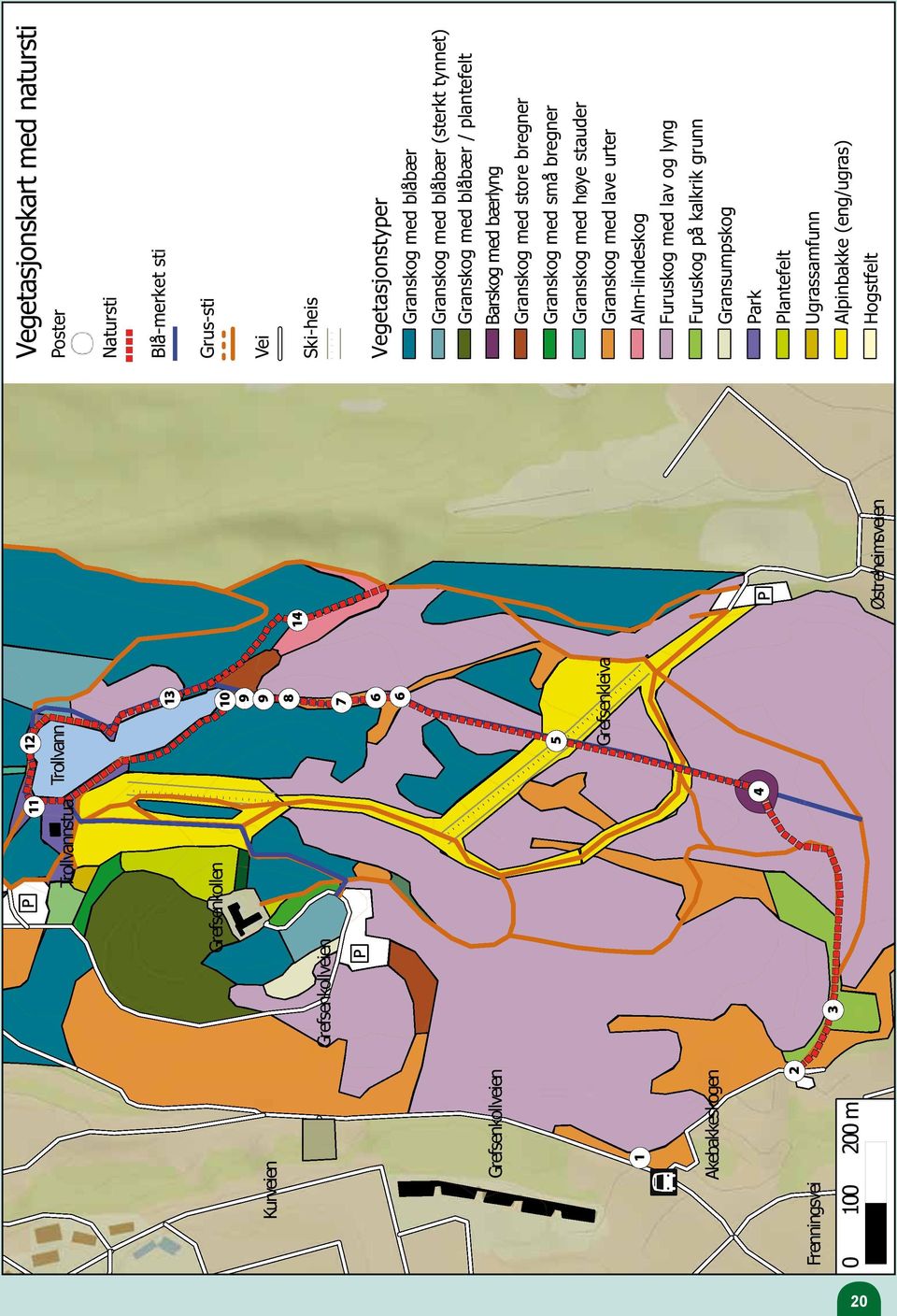 store bregner Granskog med store bregner Granskog med små bregner Granskog med små bregner Granskog med høye stauder Granskog med høye stauder Granskog med lave urter Granskog med lave urter