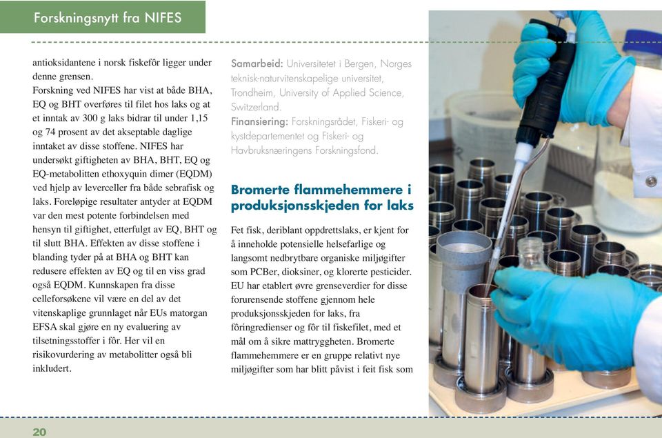 NIFES har undersøkt giftigheten av BHA, BHT, EQ og EQ-metabolitten ethoxyquin dimer (EQDM) ved hjelp av leverceller fra både sebrafisk og laks.
