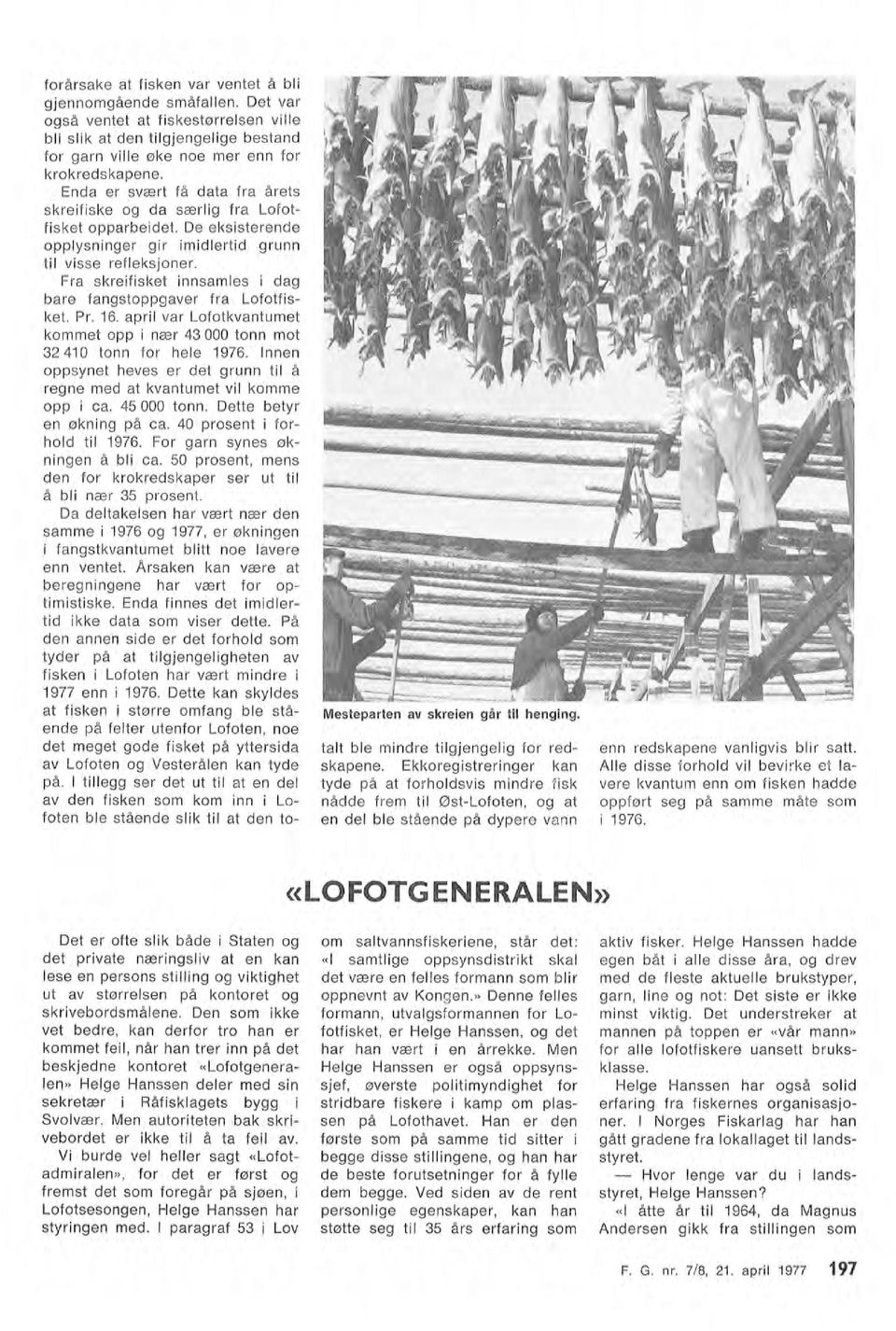 apri var Lofotkvantumet kommet opp i nær 43 000 tonn mot 32 410 tonn for hee 1976. Innen oppsynet heves er det grunn ti å F. G. nr. 7/8, 21.