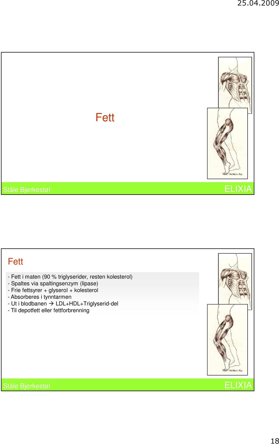 fettsyrer + glyserol + kolesterol - Absorberes i tynntarmen -