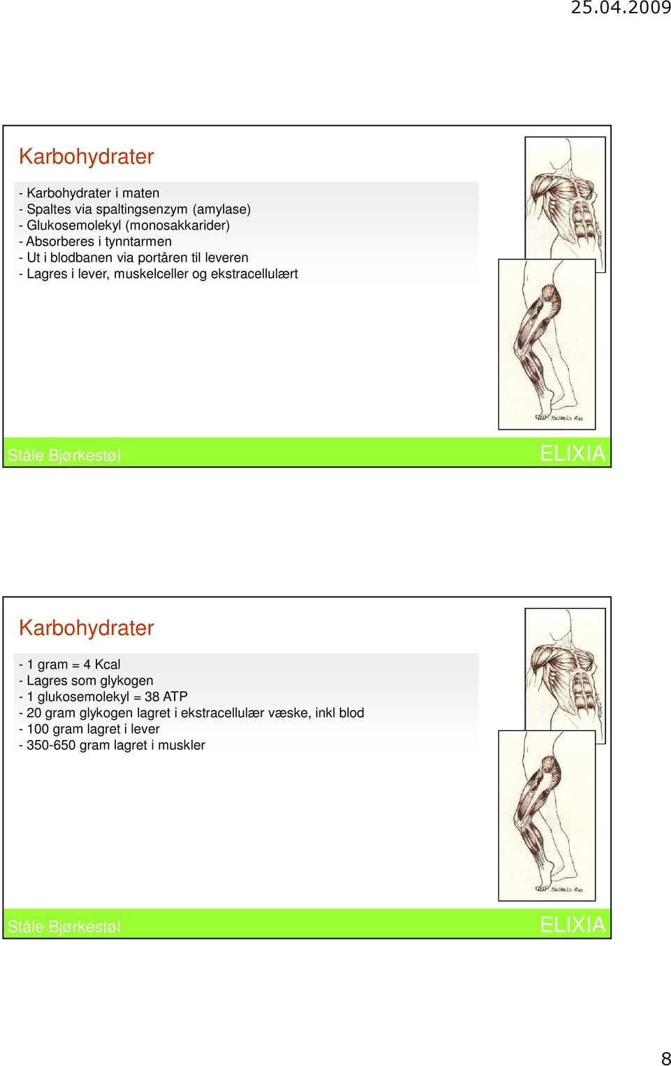 muskelceller og ekstracellulært Karbohydrater - 1 gram = 4 Kcal - Lagres som glykogen - 1 glukosemolekyl =