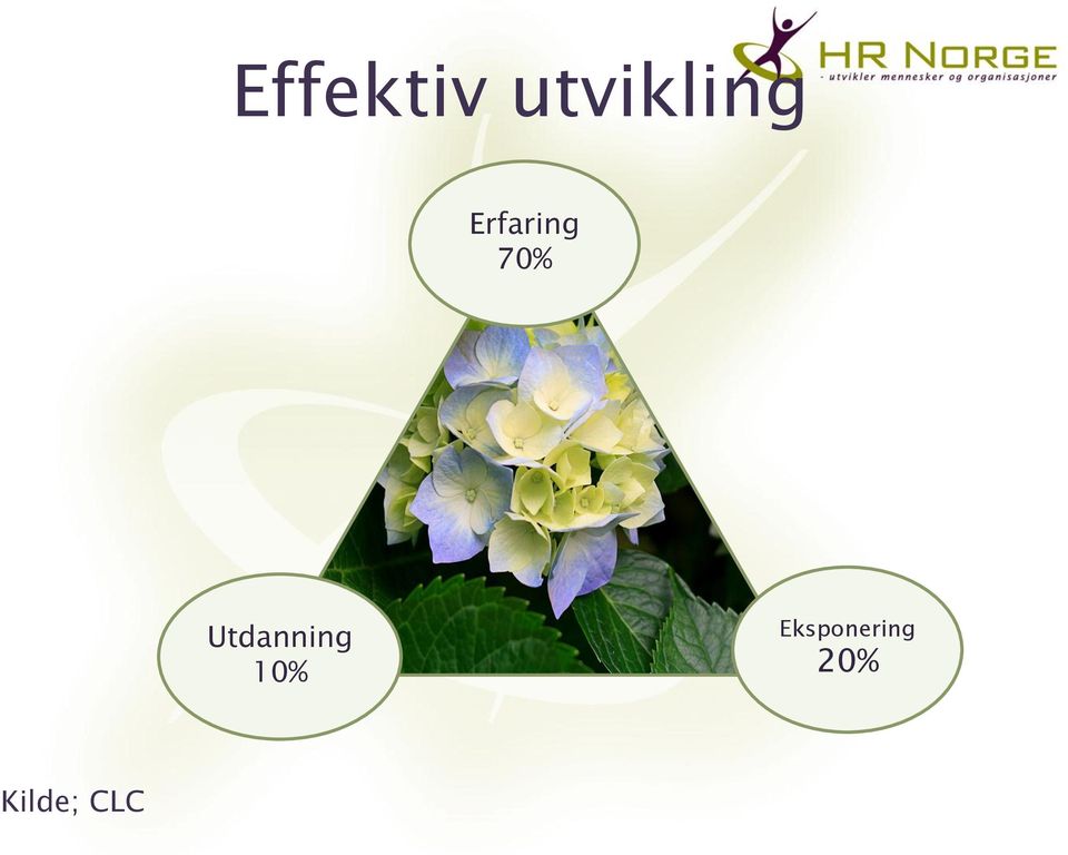 Erfaring 70%