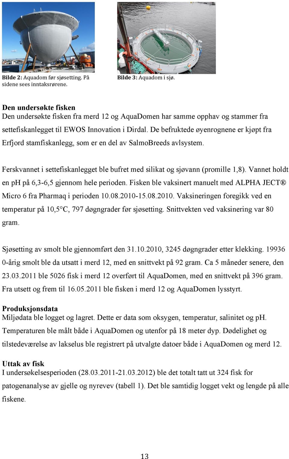 De befruktede øyenrognene er kjøpt fra Erfjord stamfiskanlegg, som er en del av SalmoBreeds avlsystem. Ferskvannet i settefiskanlegget ble bufret med silikat og sjøvann (promille 1,8).