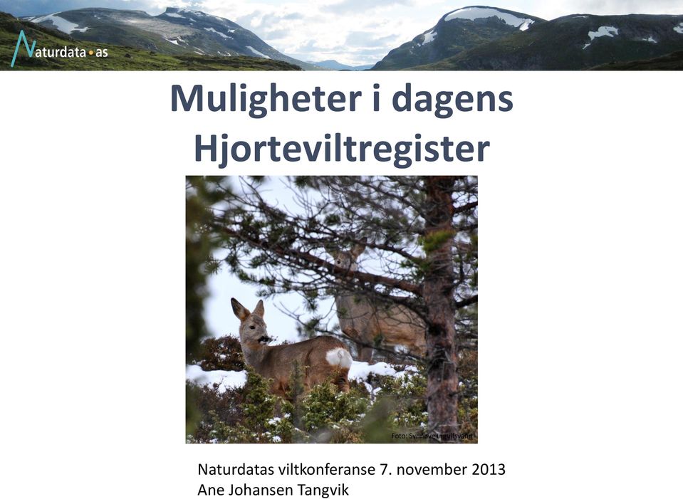 Synnøve Ingulfsvann Naturdatas