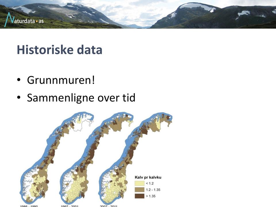 Grunnmuren!