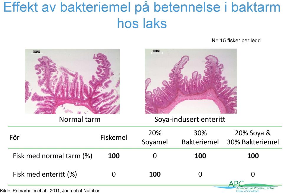 Bakteriemel 20% Soya & 30% Bakteriemel Fisk med normal tarm (%) 100 0 100