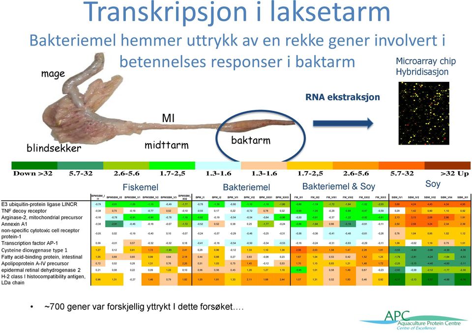 7-32 >32 Up BPMSBM_I I1 Fiskemel Bakteriemel Bakteriemel & Soy Soy BPMSBM_II3 BPMSBM_V1 BPMSBM_V2 BPMSBM_V3 BPMSBM_ XII2 BPM_I1 BPM_I2 BPM_VI1 BPM_VI2 BPM_XXII1 BPM_XXII3 FM_III1 FM_III2 FM_VIII1