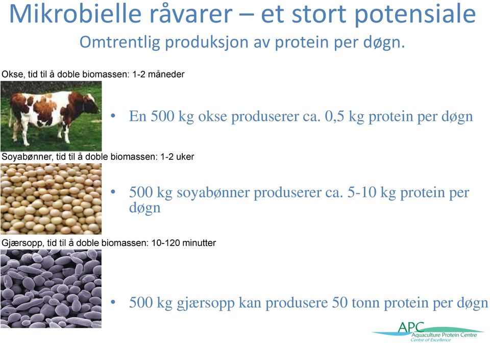 0,5 kg protein per døgn Soyabønner, tid til å doble biomassen: 1-2 uker 500 kg soyabønner