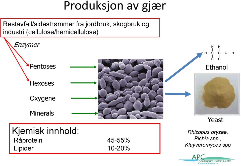 Ethanol Hexoses Oxygene Minerals Kjemisk innhold: Råprotein