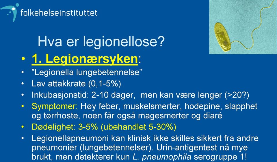 (>20?) Symptomer: Høy feber, muskelsmerter, hodepine, slapphet og tørrhoste, noen får også magesmerter og diaré