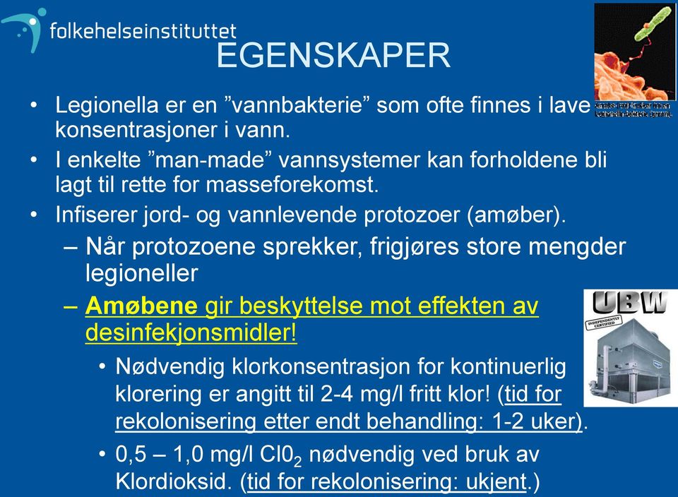 Når protozoene sprekker, frigjøres store mengder legioneller Amøbene gir beskyttelse mot effekten av desinfekjonsmidler!