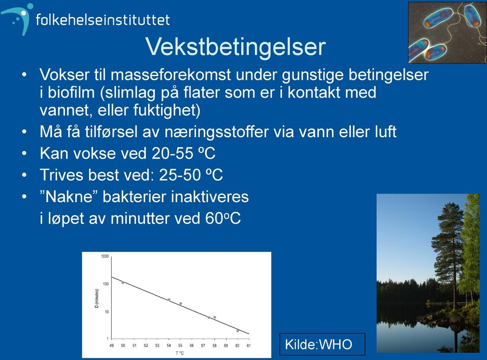 tilførsel av næringsstoffer via vann eller luft Kan vokse ved 20-55 ºC Trives