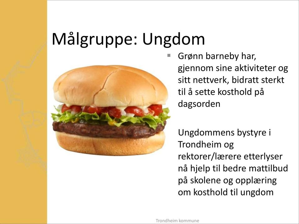 Ungdommens bystyre i Trondheim og rektorer/lærere etterlyser nå