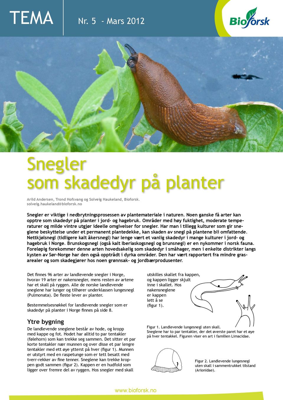 Områder med høy fuktighet, moderate temperaturer og milde vintre utgjør ideelle omgivelser for snegler.