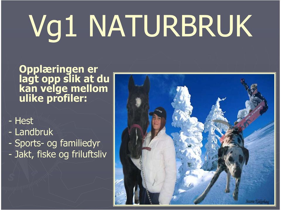 profiler: - Hest - Landbruk - Sports-