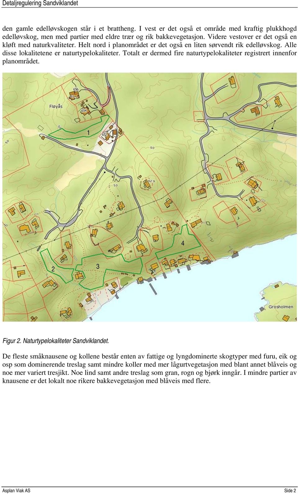 Totalt er dermed fire naturtypelokaliteter registrert innenfor planområdet. 1 4 2 3 Figur 2. Naturtypelokaliteter Sandviklandet.