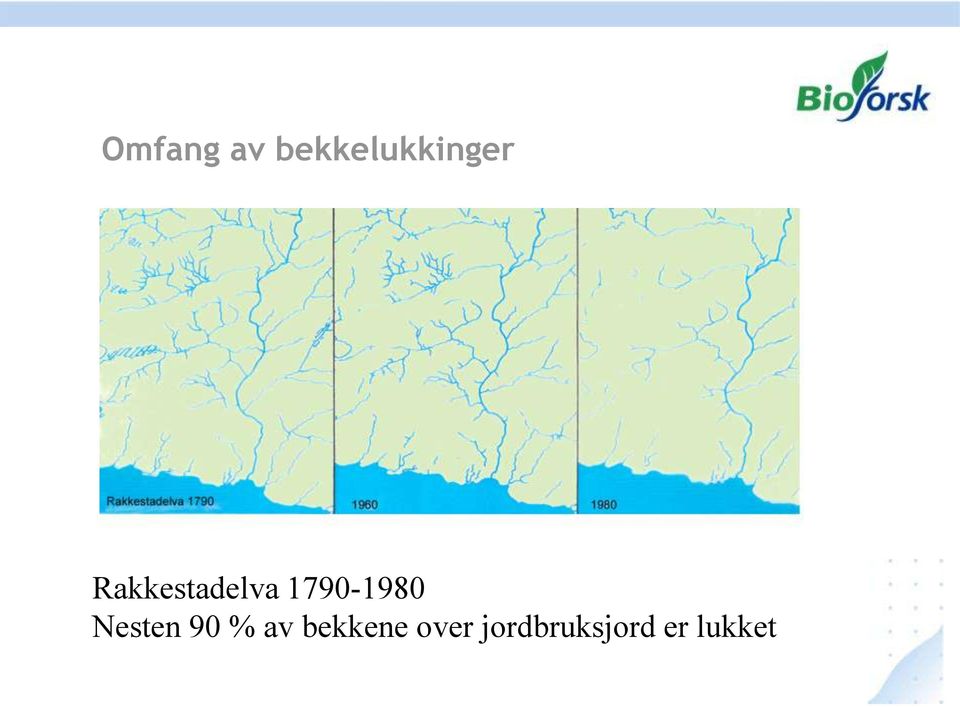 Nesten 90 % av bekkene