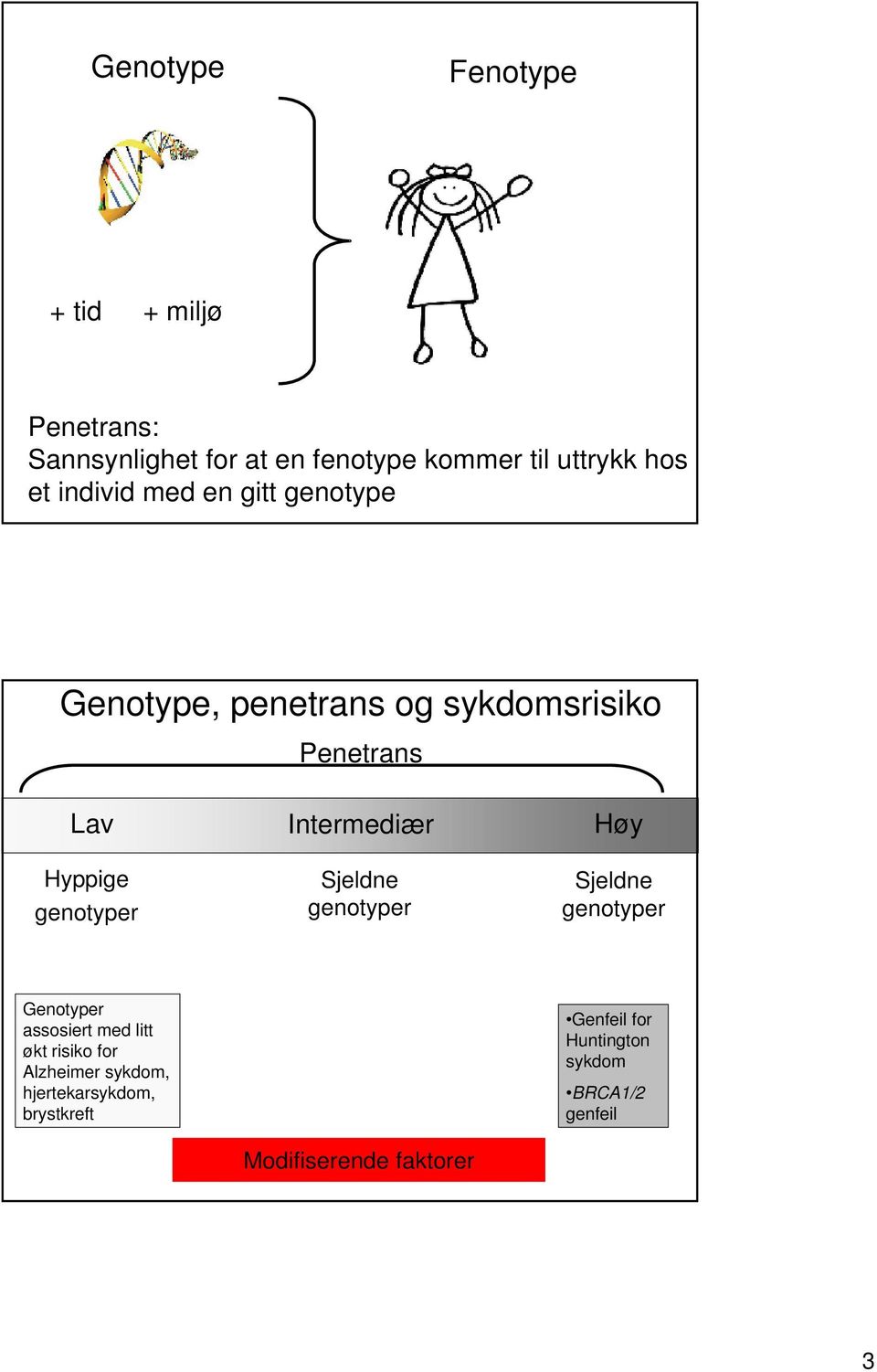 Hyppige genotyper Sjeldne genotyper Sjeldne genotyper Genotyper assosiert med litt økt risiko for