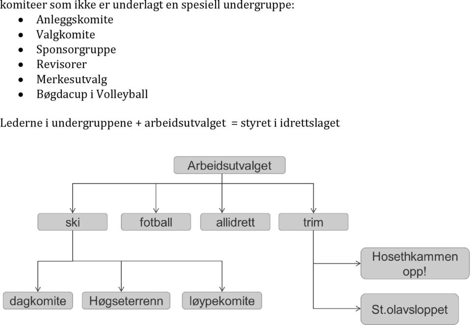 Revisorer Merkesutvalg Bøgdacup i Volleyball