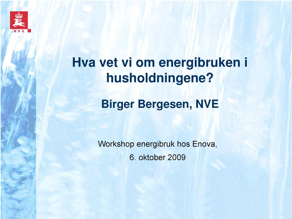 Birger Bergesen, NVE