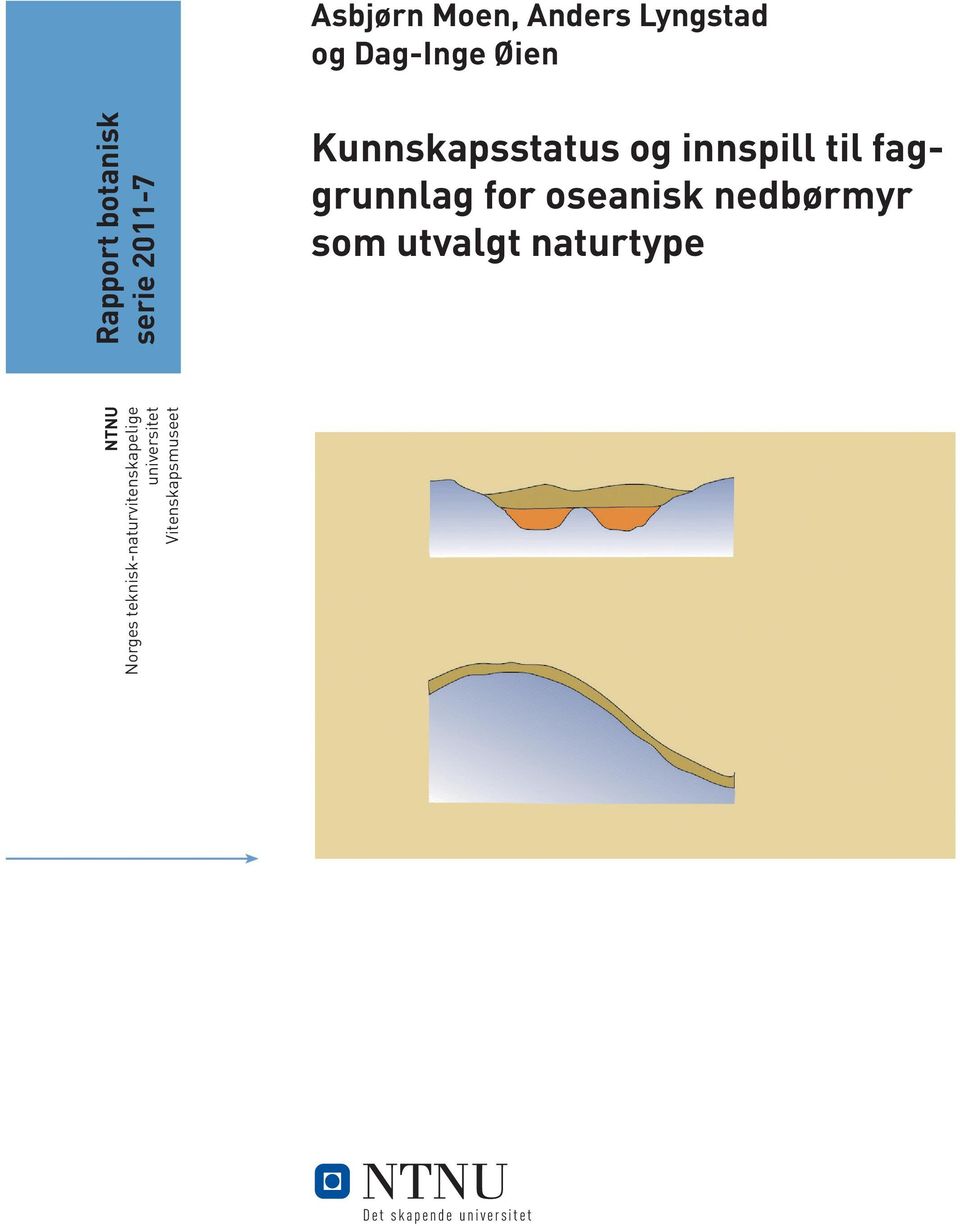 oseanisk nedbørmyr som utvalgt naturtype NTNU Norges