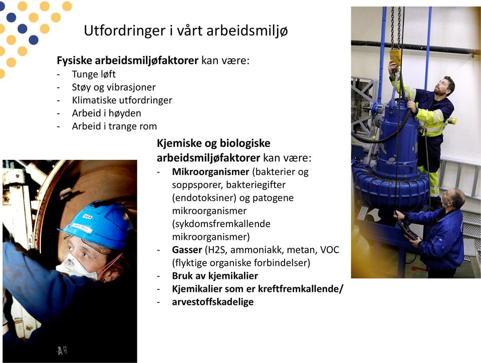 (bakterier og soppsporer, bakteriegifter (endotoksiner) og patogene mikroorganismer (sykdomsfremkallende mikroorganismer) -