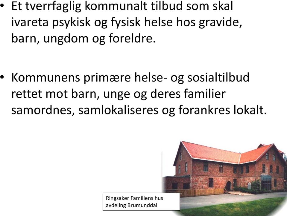 Kommunens primære helse- og sosialtilbud rettet mot barn, unge og