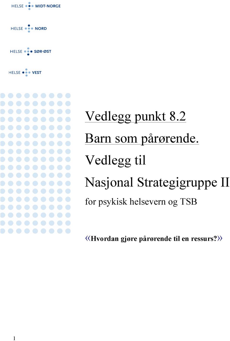 Vedlegg til Nasjonal Strategigruppe II for