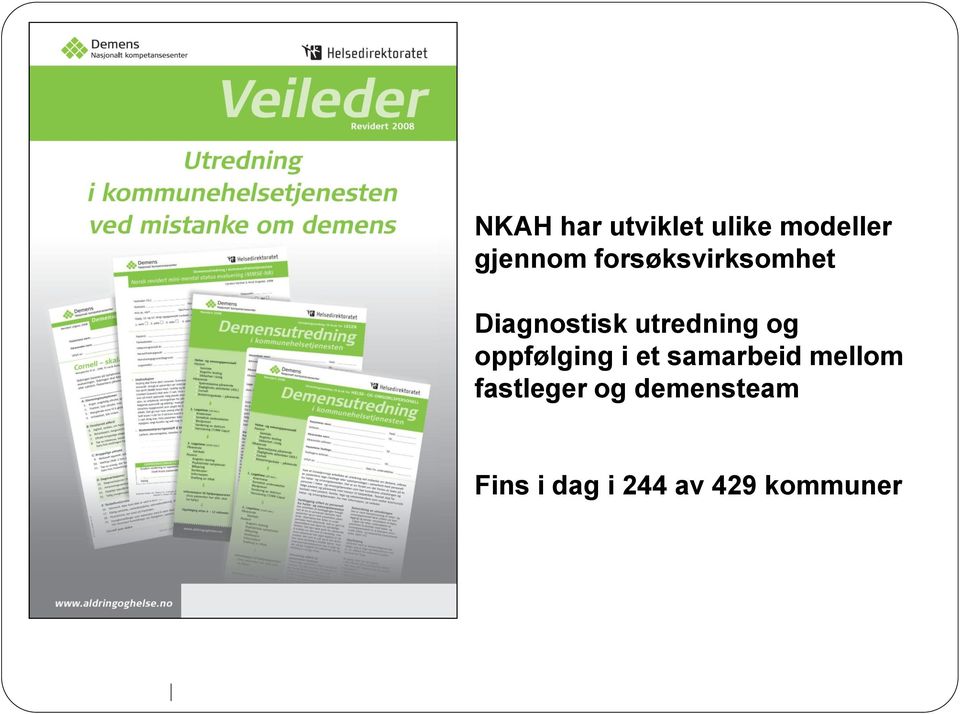 oppfølging i et samarbeid mellom fastleger