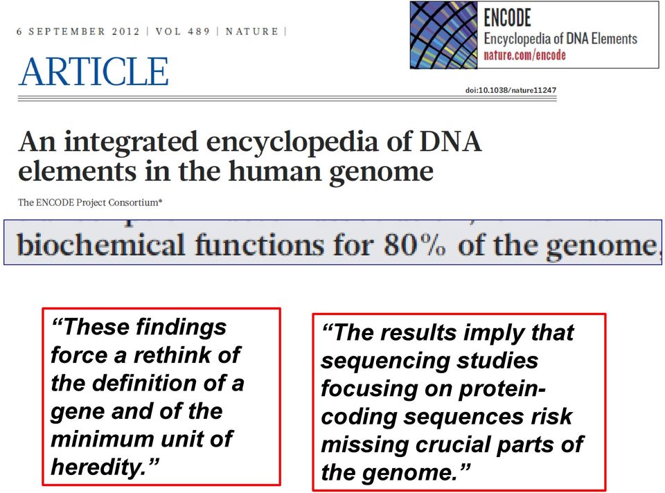 The results imply that sequencing studies focusing on