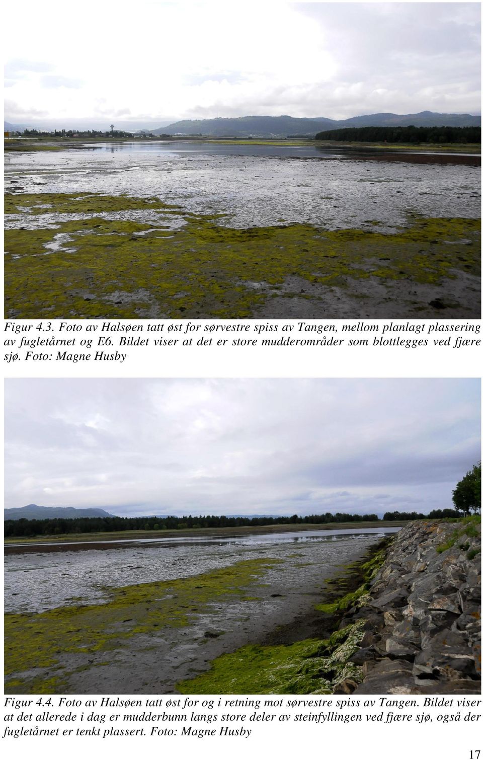Bildet viser at det er store mudderområder som blottlegges ved fjære sjø. Foto: Magne Husby Figur 4.