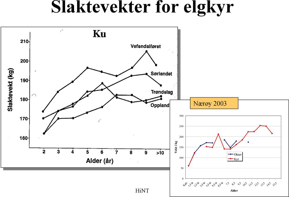 Okser Kyr 50 0 14,5 Kalv 7,5 8,5