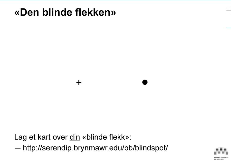 «blinde flekk»: