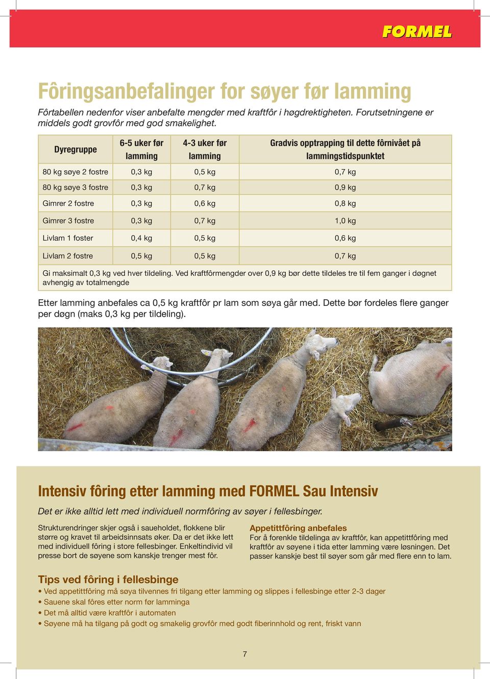 Gimrer 2 fostre 0,3 kg 0,6 kg 0,8 kg Gimrer 3 fostre 0,3 kg 0,7 kg 1,0 kg Livlam 1 foster 0,4 kg 0,5 kg 0,6 kg Livlam 2 fostre 0,5 kg 0,5 kg 0,7 kg Gi maksimalt 0,3 kg ved hver tildeling.