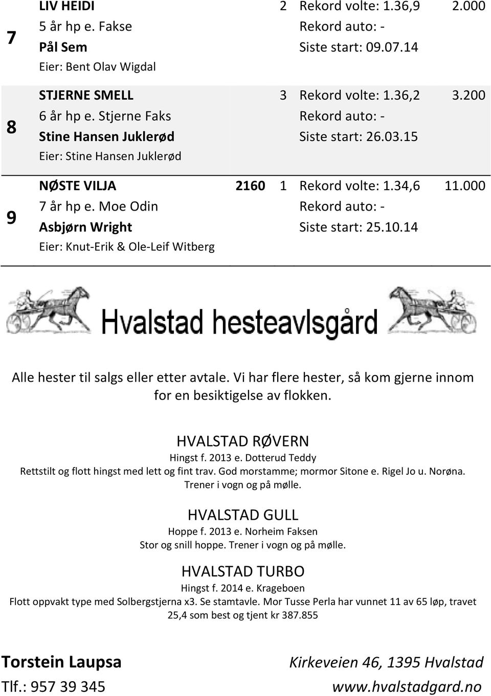 Eier: Knut-Erik & Ole-Leif Witberg Alle hester til salgs eller etter avtale. Vi har flere hester, så kom gjerne innom for en besiktigelse av flokken. HVALSTAD RØVERN Hingst f. 213 e.