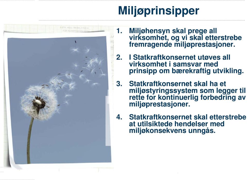 Statkraftkonsernet skal ha et miljøstyringssystem som legger til rette for kontinuerlig forbedring av