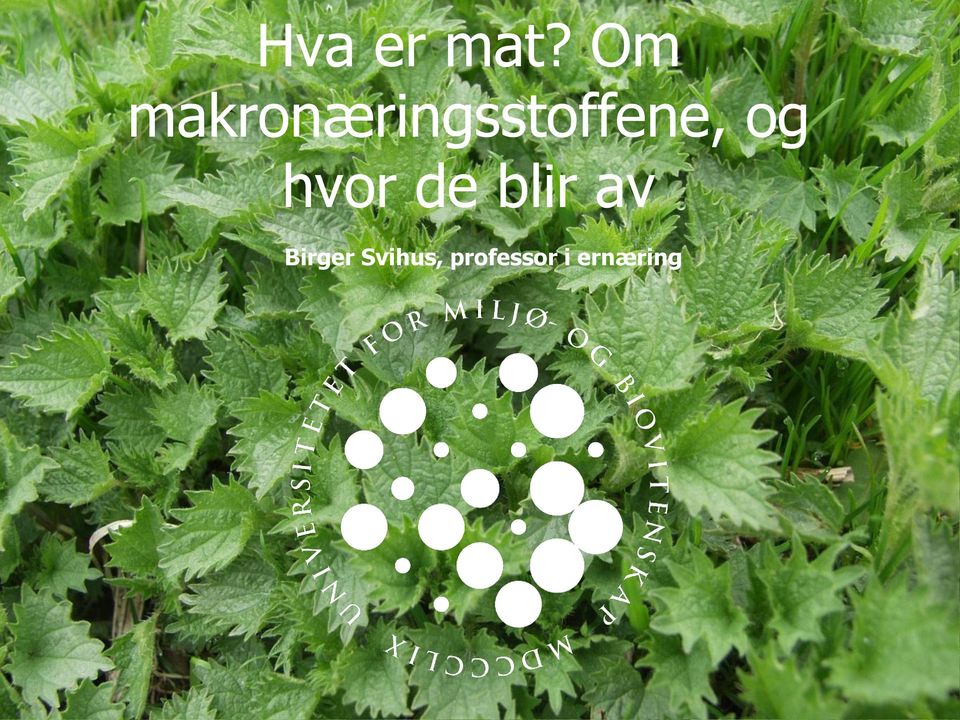 makronæringsstoffene,