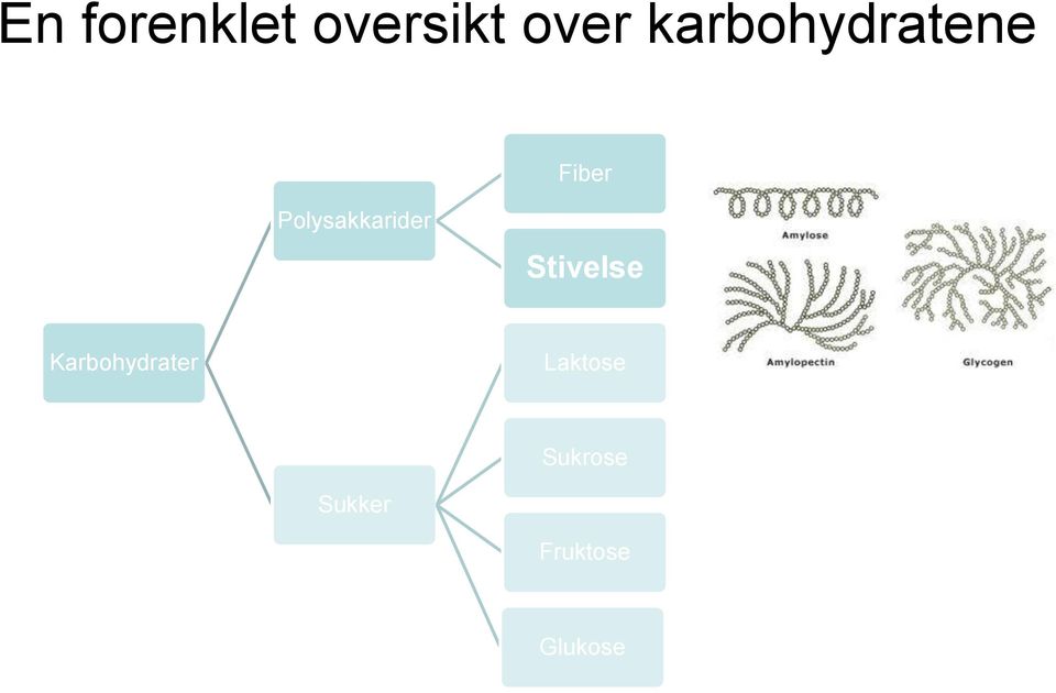 Polysakkarider Stivelse