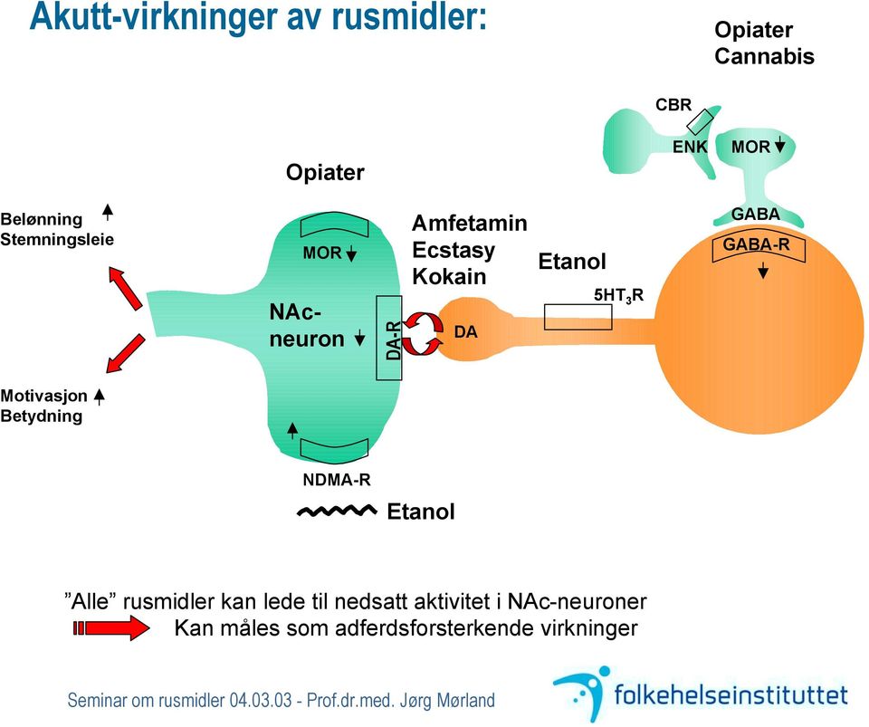 Etanol 5HT 3 R GABA GABA-R Motivasjon Betydning NDMA-R Etanol Alle rusmidler