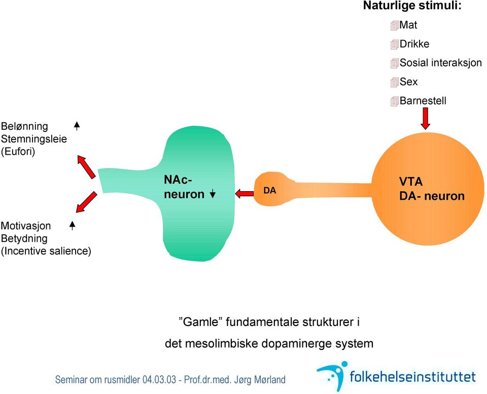 VTA DA- neuron Motivasjon Betydning (Incentive salience)