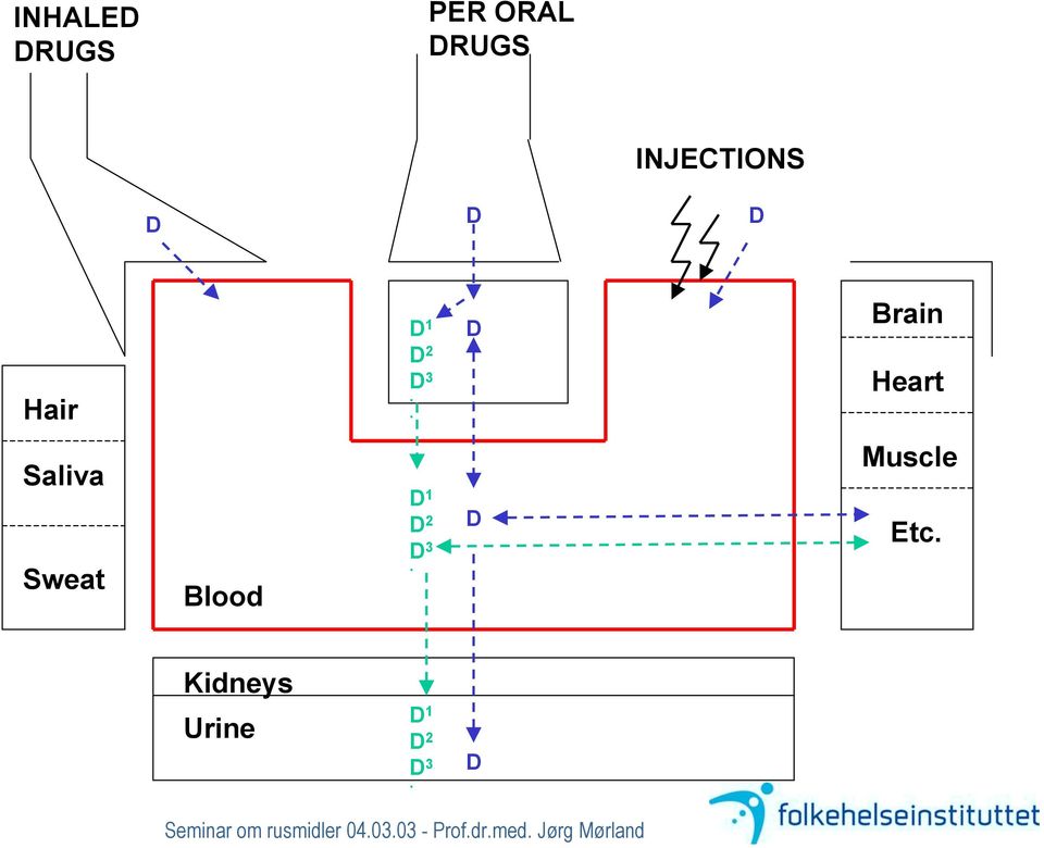 . D Brain Heart Saliva Sweat Blood D 1