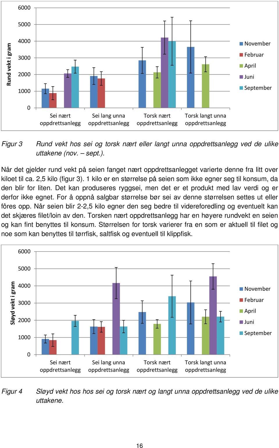 Når det gjelder rund vekt på seien fanget nært oppdrettsanlegget varierte denne fra litt over kiloet til ca. 2,5 kilo (figur 3).