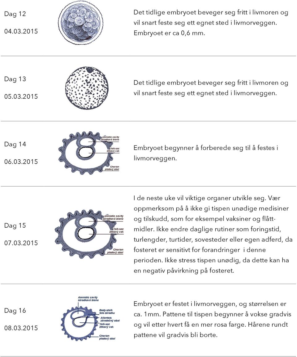 Vær oppmerksom på å ikke gi tispen unødige medisiner og tilskudd, som for eksempel vaksiner og flåttmidler.