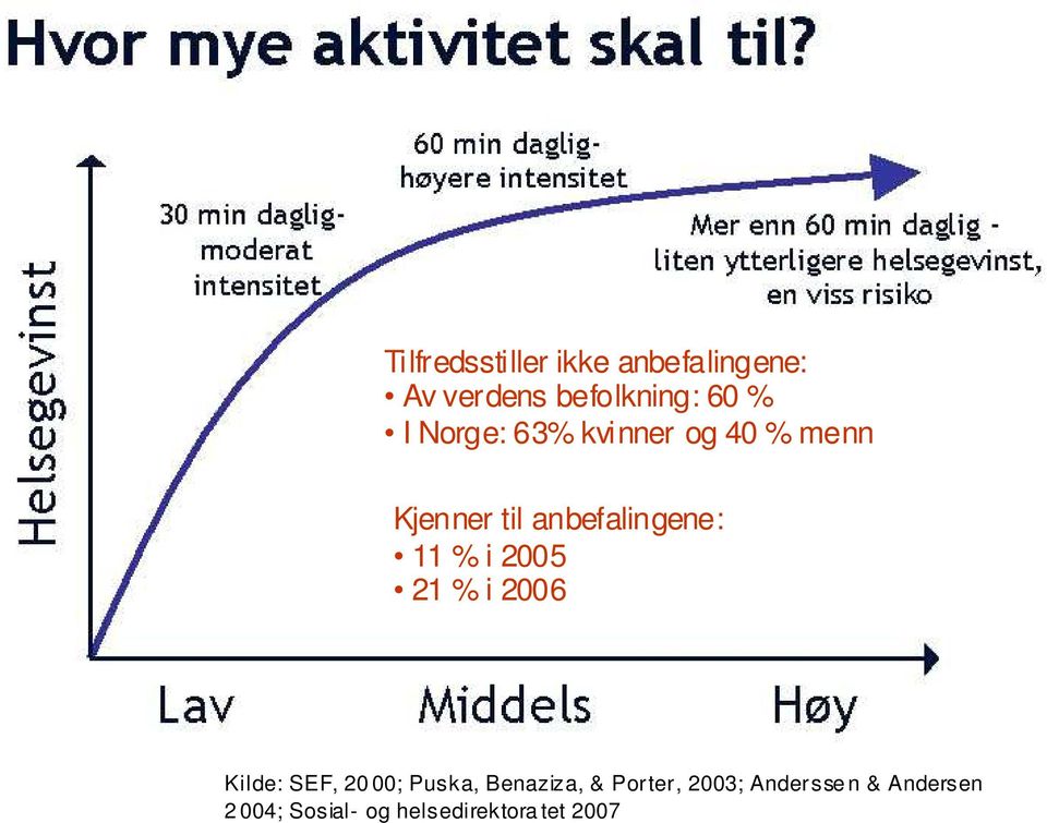 2005 21 % i 2006 Kilde: SEF, 20 00; Puska, Benaziza, & Porter,